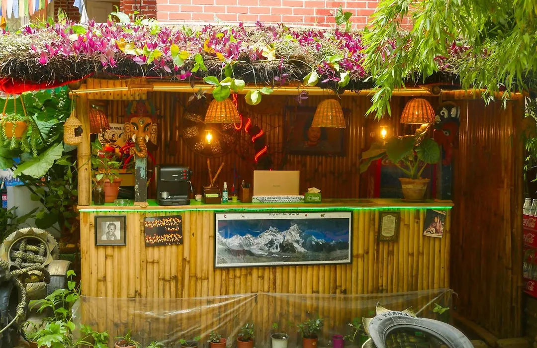 Nirvana Green Peace Home-1
