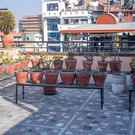 Thamel Himalayan Guest House-2