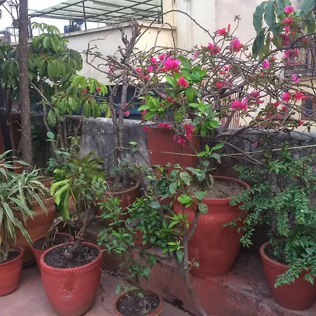 Holy Land Hotel Nepal-2
